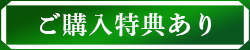 ご購入特典あり